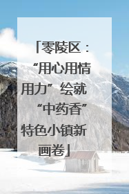 零陵区：“用心用情用力”绘就“中药香”特色小镇新画卷