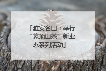 雅安名山：举行“蒙顶山茶”新业态系列活动