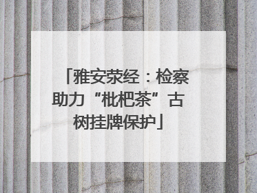 雅安荥经：检察助力“枇杷茶”古树挂牌保护