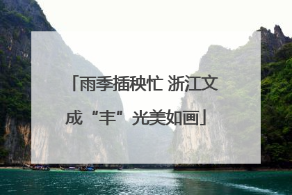 雨季插秧忙 浙江文成“丰”光美如画