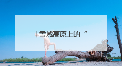 雪域高原上的“枫桥灯塔”：青海吉迈派出所书写新时代警务答卷