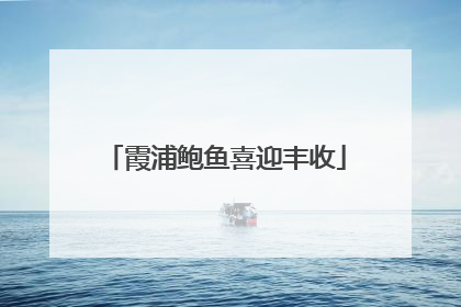 霞浦鲍鱼喜迎丰收