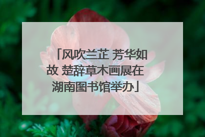 风吹兰芷 芳华如故 楚辞草木画展在湖南图书馆举办