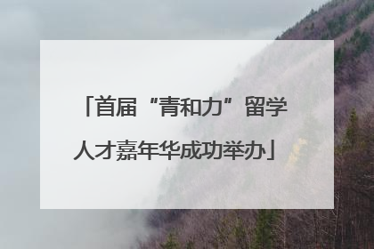 首届“青和力”留学人才嘉年华成功举办