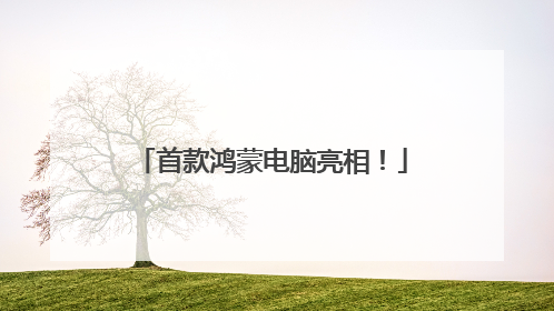 首款鸿蒙电脑亮相！