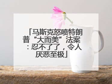 马斯克怒喷特朗普“大而美”法案：忍不了了，令人厌恶至极