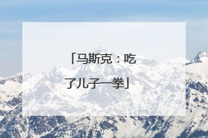 马斯克：吃了儿子一拳