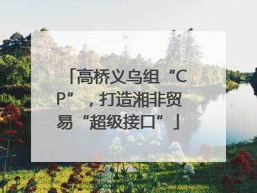高桥义乌组“CP”，打造湘非贸易“超级接口”