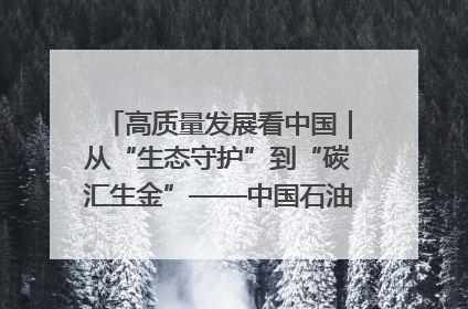 高质量发展看中国｜从“生态守护”到“碳汇生金”——中国石油大庆油田绿色蝶变