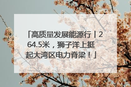 高质量发展能源行丨264.5米，狮子洋上挺起大湾区电力脊梁！