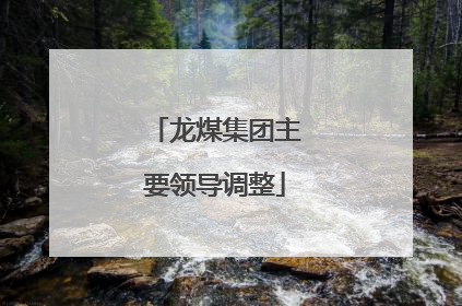 龙煤集团主要领导调整