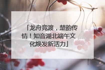 龙舟竞渡，楚韵传情！知音湖北端午文化焕发新活力