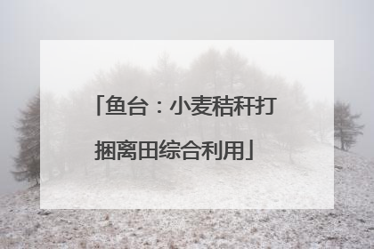 鱼台：小麦秸秆打捆离田综合利用