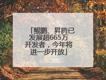 鲲鹏、昇腾已发展超665万开发者，今年将进一步开放