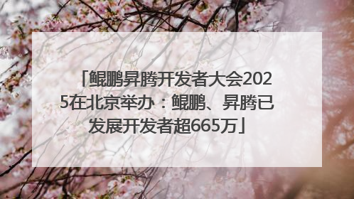 鲲鹏昇腾开发者大会2025在北京举办：鲲鹏、昇腾已发展开发者超665万