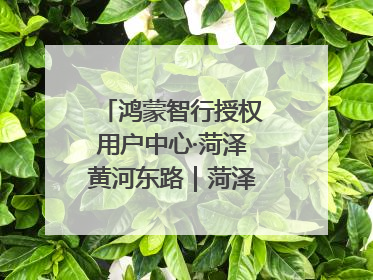 鸿蒙智行授权用户中心·菏泽黄河东路｜菏泽首店盛大开业