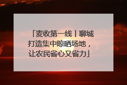 麦收第一线丨聊城打造集中晾晒场地，让农民省心又省力