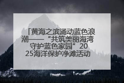 黄海之滨涌动蓝色浪潮——“共筑美丽海湾 守护蓝色家园”2025海洋保护净滩活动暨“美丽江苏—江河湖海青蓝行”海洋篇在连云港举行