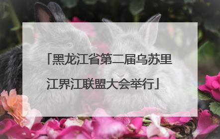 黑龙江省第二届乌苏里江界江联盟大会举行