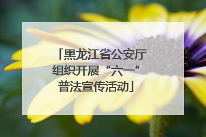 黑龙江省公安厅组织开展“六一”普法宣传活动