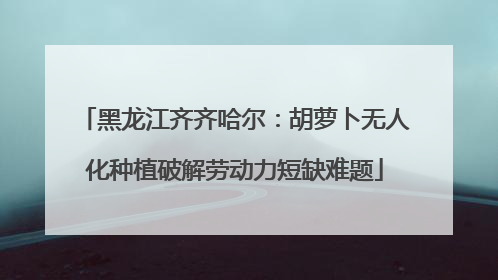 黑龙江齐齐哈尔：胡萝卜无人化种植破解劳动力短缺难题