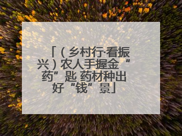 （乡村行·看振兴）农人手握金“药”匙 药材种出好“钱”景