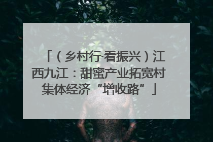 （乡村行·看振兴）江西九江：甜蜜产业拓宽村集体经济“增收路”