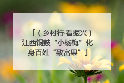 （乡村行·看振兴）江西铜鼓“小杨梅”化身百姓“致富果”