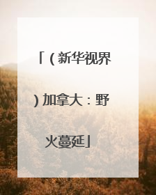 （新华视界）加拿大：野火蔓延