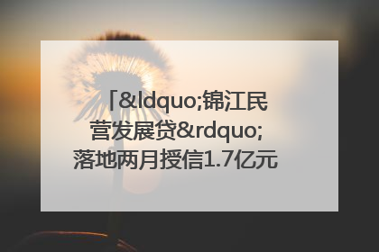 “锦江民营发展贷”落地两月授信1.7亿元，惠及118家民企