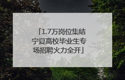 1.7万岗位集结 宁夏高校毕业生专场招聘火力全开
