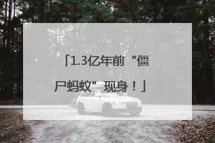 1.3亿年前“僵尸蚂蚁”现身！