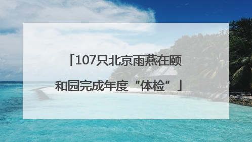 107只北京雨燕在颐和园完成年度“体检”