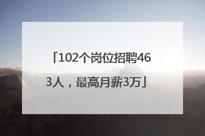 102个岗位招聘463人，最高月薪3万
