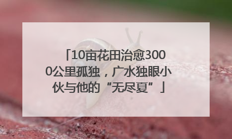 10亩花田治愈3000公里孤独，广水独眼小伙与他的“无尽夏”