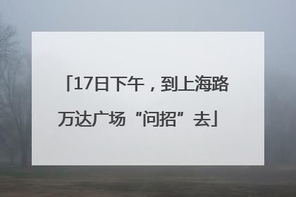 17日下午，到上海路万达广场“问招”去