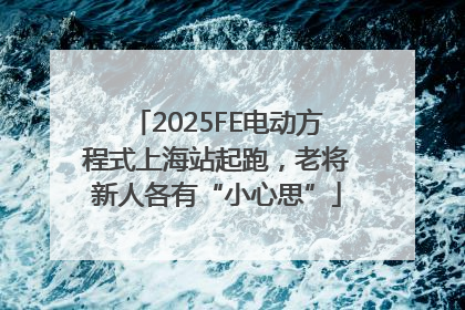 2025FE电动方程式上海站起跑，老将新人各有“小心思”