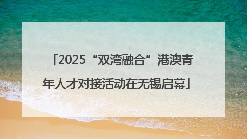 2025“双湾融合”港澳青年人才对接活动在无锡启幕