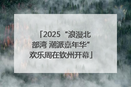 2025“浪漫北部湾 潮派嘉年华”欢乐周在钦州开幕