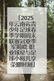 2025年云南省青少年足球春季学期周末联赛冠亚季军揭晓 职业球星与足球小将共享荣耀时刻