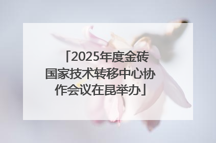 2025年度金砖国家技术转移中心协作会议在昆举办