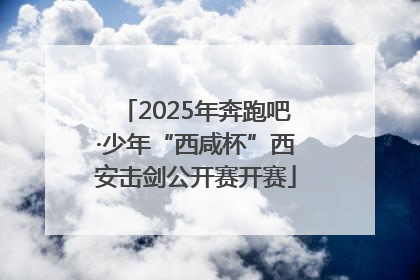 2025年奔跑吧·少年“西咸杯”西安击剑公开赛开赛