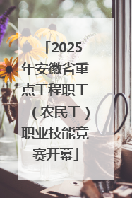 2025年安徽省重点工程职工（农民工）职业技能竞赛开幕