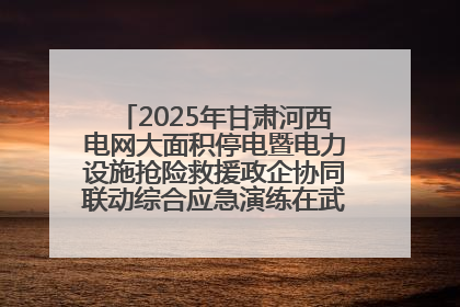 2025年甘肃河西电网大面积停电暨电力设施抢险救援政企协同联动综合应急演练在武威成功举行