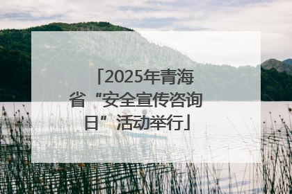 2025年青海省“安全宣传咨询日”活动举行