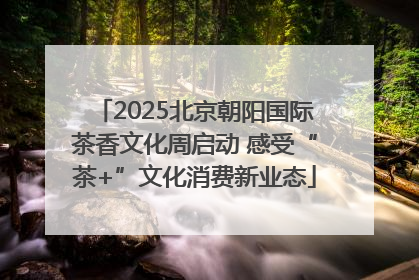 2025北京朝阳国际茶香文化周启动 感受“茶+”文化消费新业态