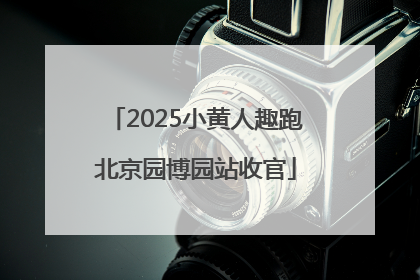2025小黄人趣跑北京园博园站收官