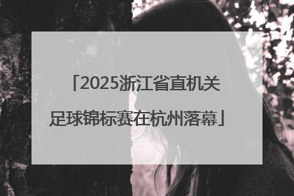 2025浙江省直机关足球锦标赛在杭州落幕
