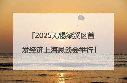 2025无锡梁溪区首发经济上海恳谈会举行