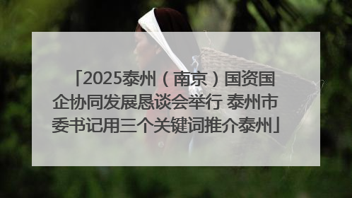 2025泰州（南京）国资国企协同发展恳谈会举行 泰州市委书记用三个关键词推介泰州
